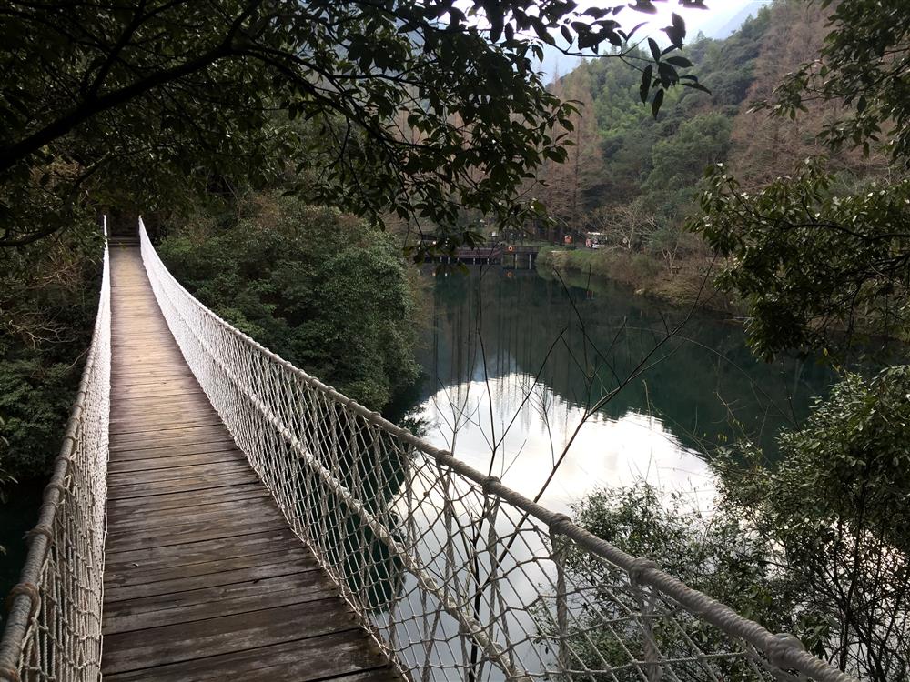 微信图片_20190115150025_副本