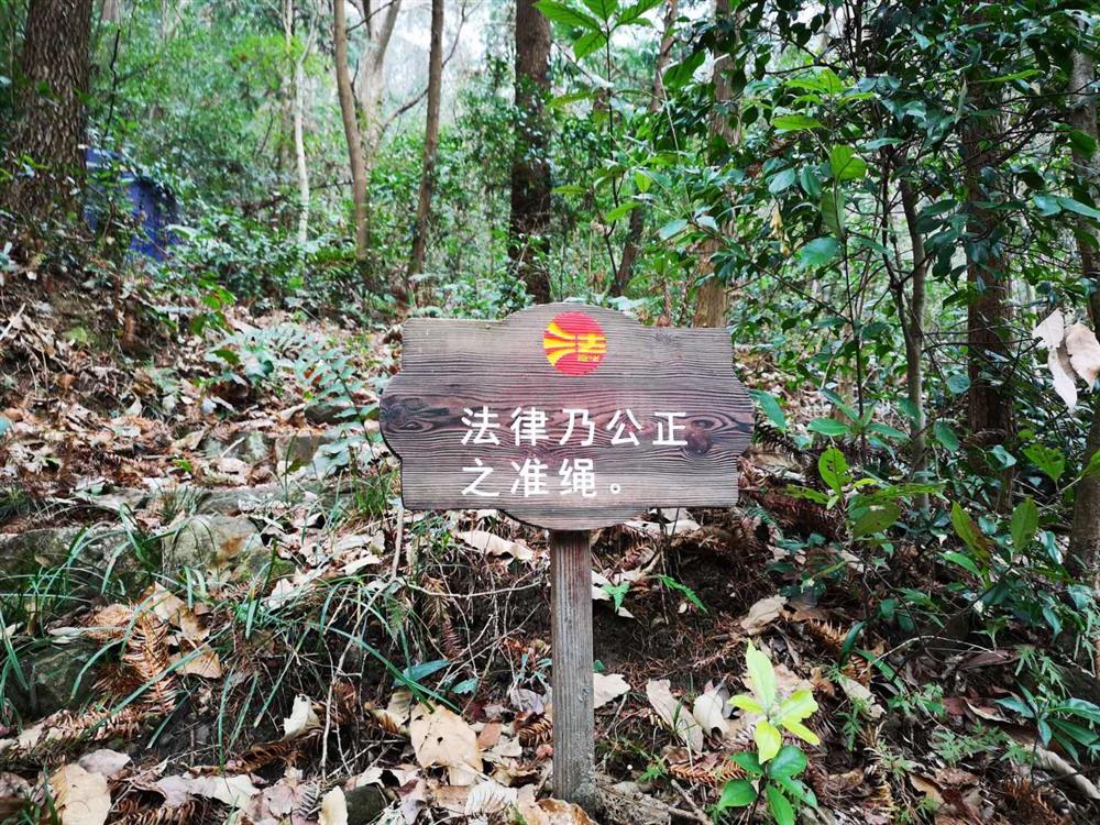 微信图片_20190115150037